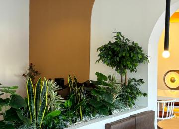 Whatsapp Image 2025 02 12 At 14.26.40 1